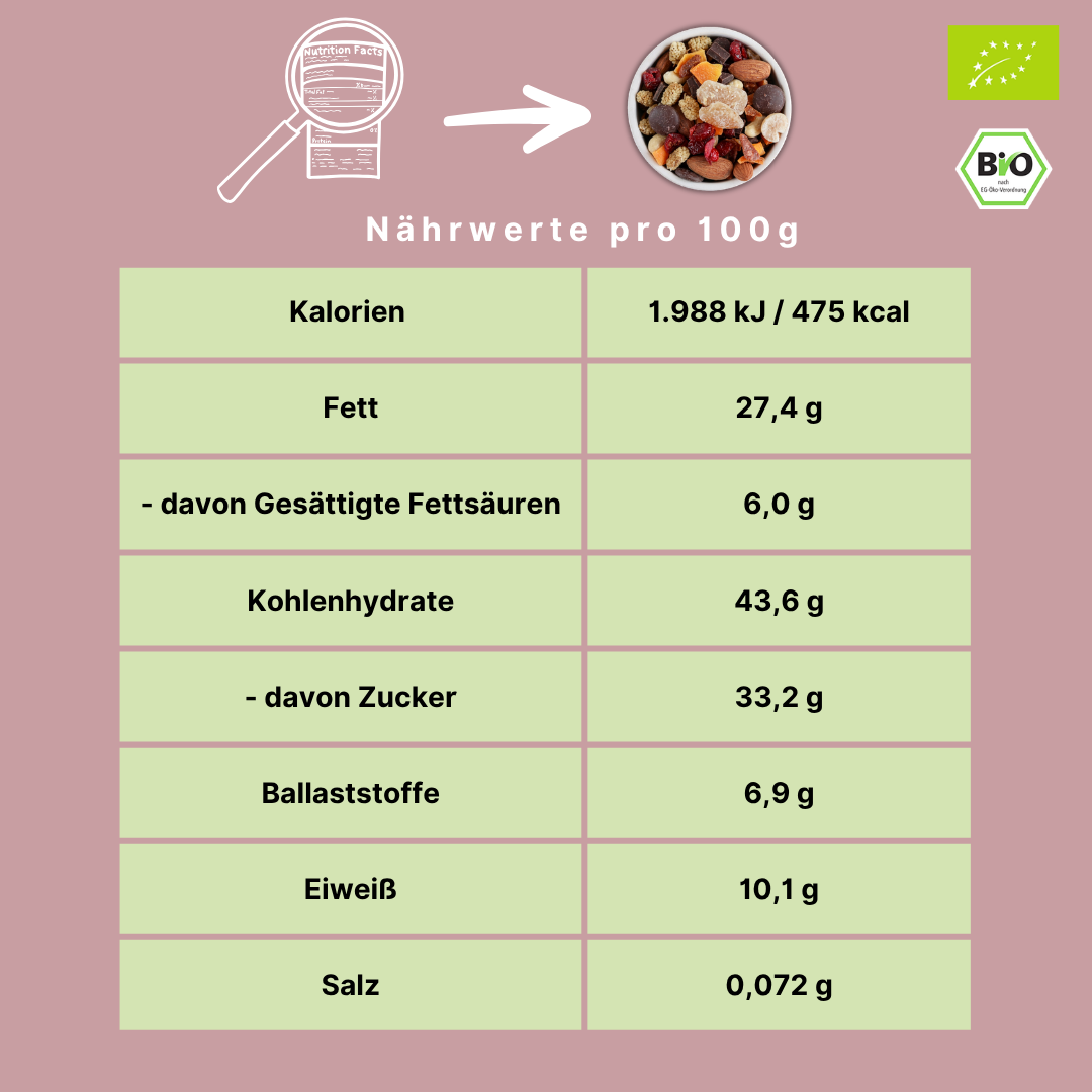 Bio Studentenfutter „Ingwer-Schoko“ | Nuss- & Fruchtmix mit Zartbitterschokolade