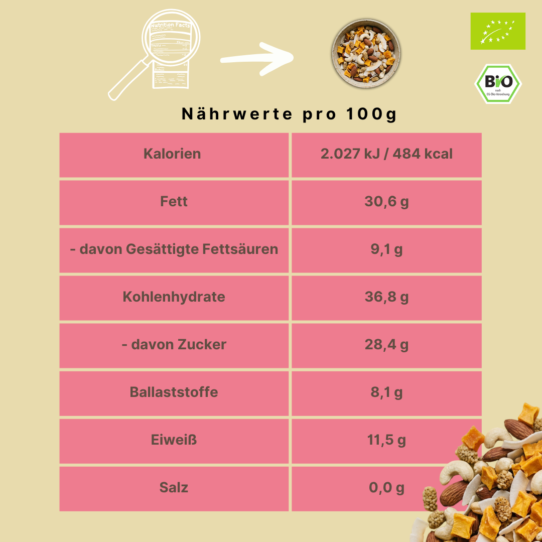 Bio Studentenfutter | "Mango-Moment" | mit köstlichen Mangostücken
