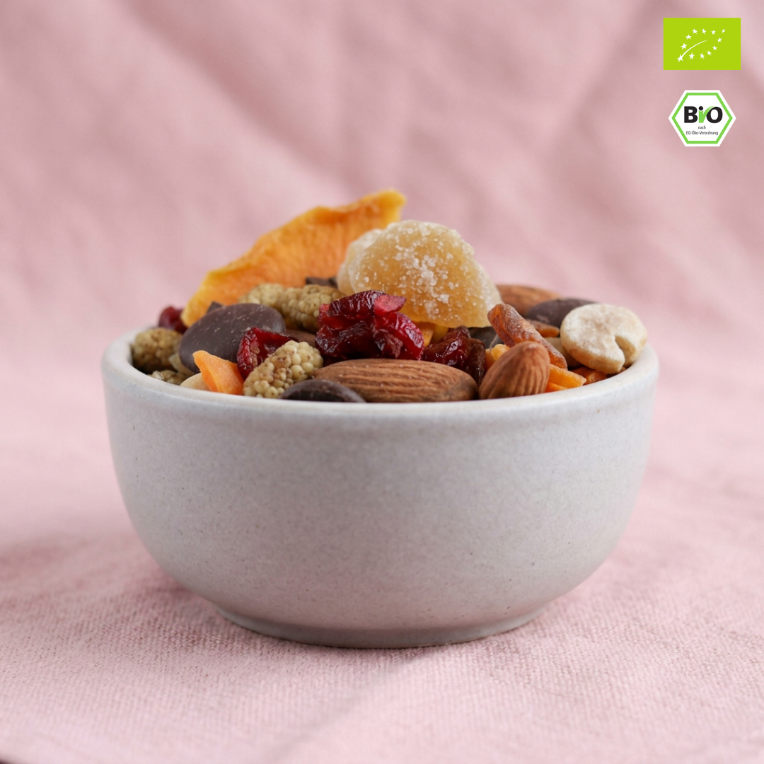 Bio Studentenfutter „Ingwer-Schoko“ | Nuss- & Fruchtmix mit Zartbitterschokolade