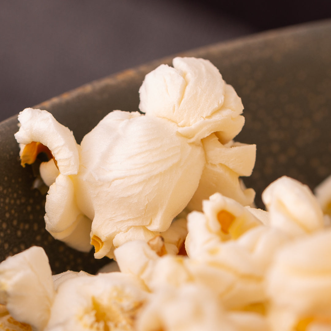 Bio Popcornmais | Popcorn