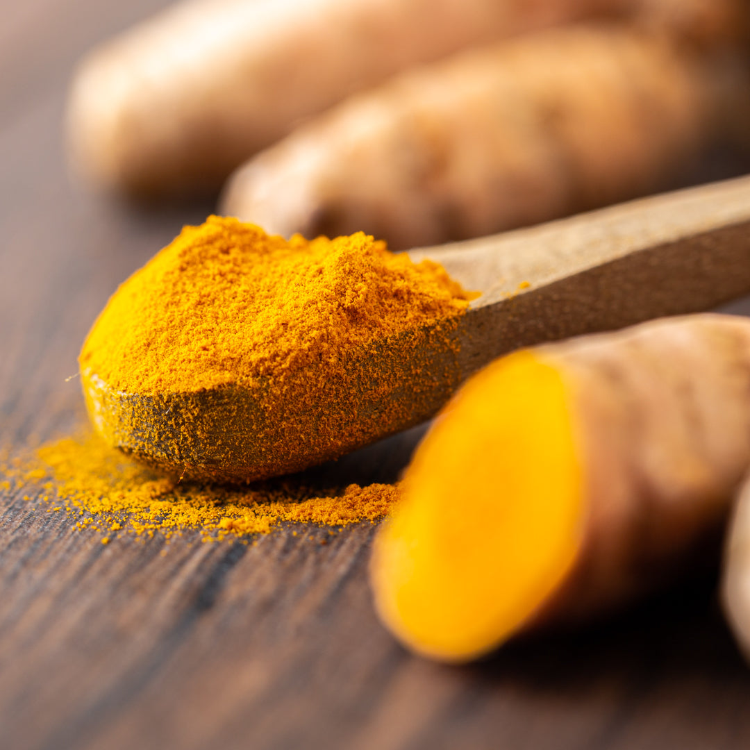 Bio Kurkumapulver | mit 4,5% Curcumin