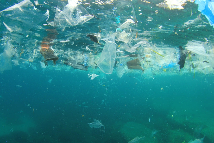 Plastikfrei Einkaufen - so kommst du an plastikfreie Lebensmittel