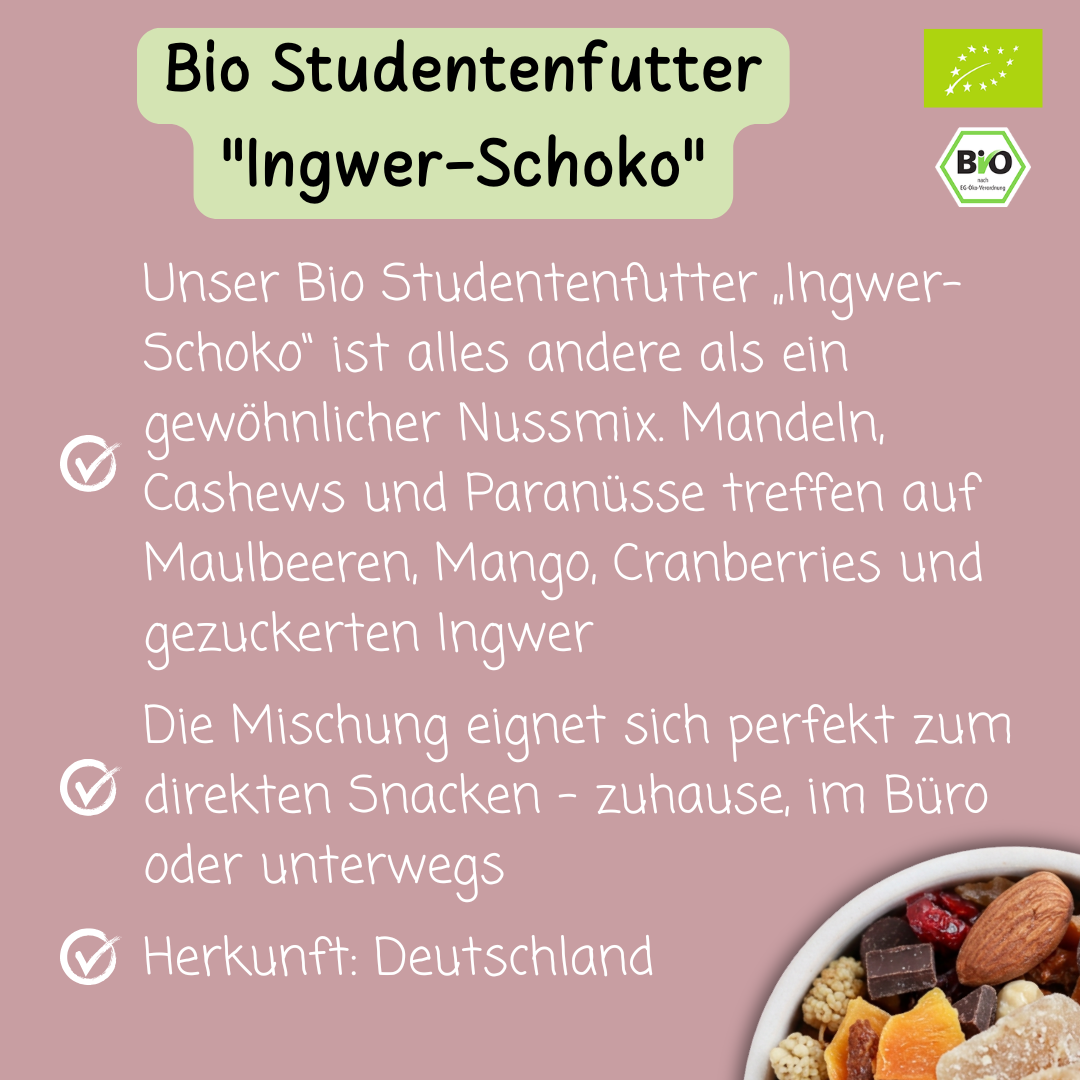 Bio Studentenfutter „Ingwer-Schoko“ | Nuss- & Fruchtmix mit Zartbitterschokolade