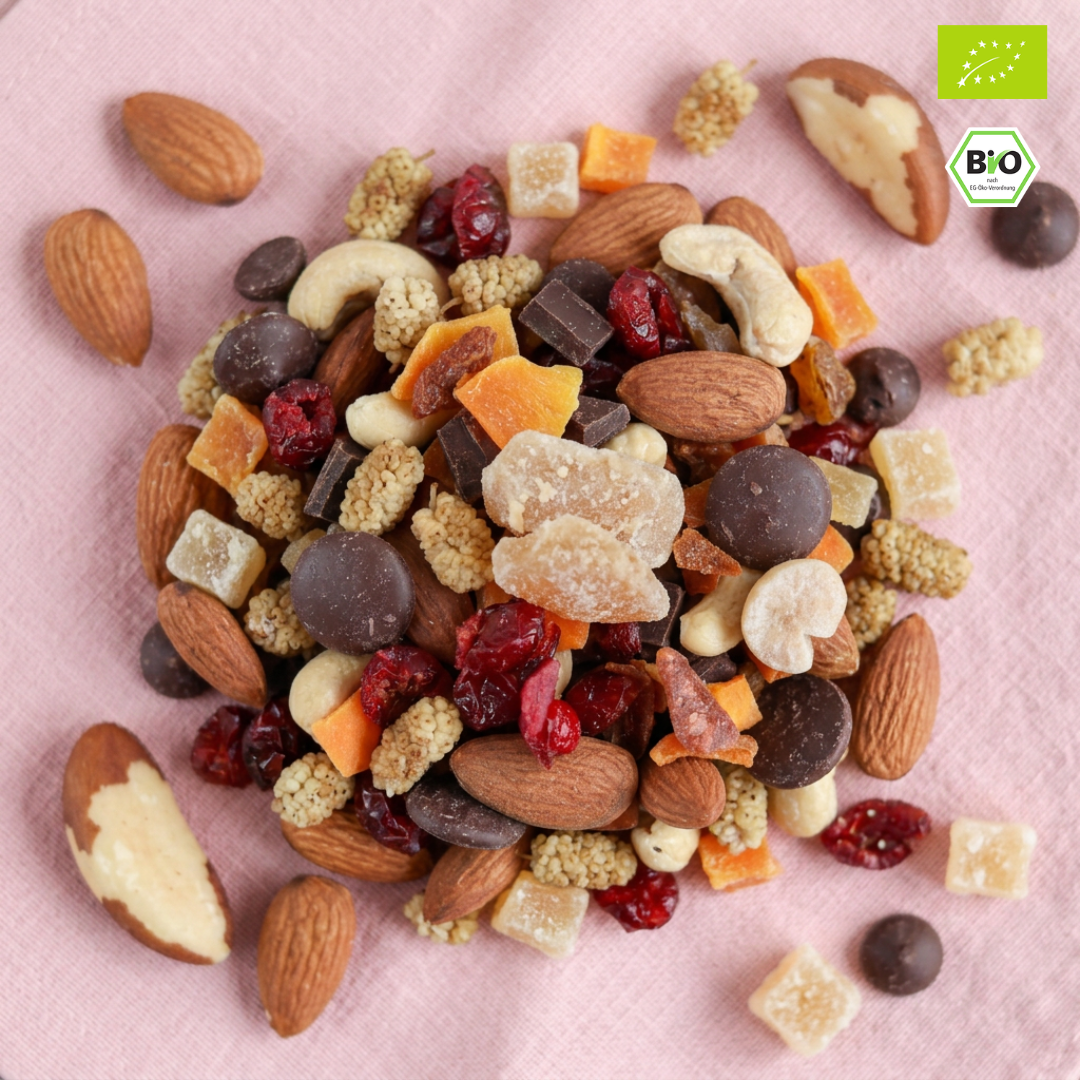 Bio Studentenfutter „Ingwer-Schoko“ | Nuss- & Fruchtmix mit Zartbitterschokolade